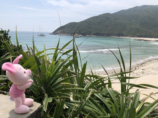 遊覧大浪灣🌊欣賞水清沙幼的海灣靚景