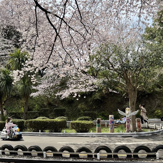 【神奈川】お城と満開の桜が美しい桜の名所🌸