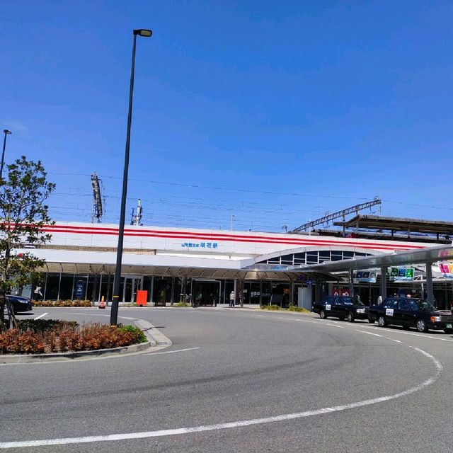 【兵庫県 明石市】季節の花咲く明石駅🌸🌸🌸