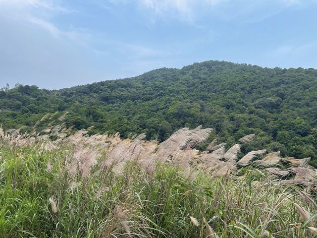 超靚大草原｜昂坪高原