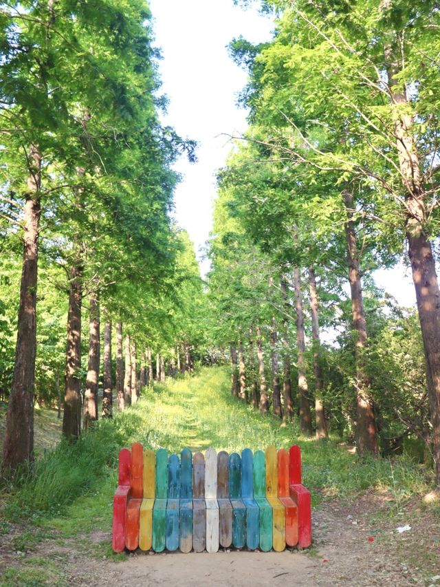 파란물결 가득한 당진 아그로랜드 꽃천국💙