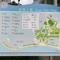賞花的好地方-荃灣公園