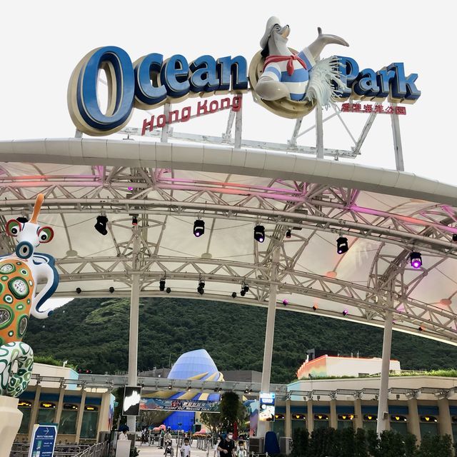 Ocean Park, The only park in Hong Kong to meet Pinguin and Panda