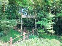 飛鵝山觀景台
