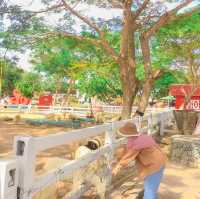 Pattaya Sheep Farm ฟาร์มแกะพัทยา