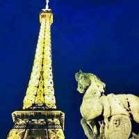 The Magnificant Eiffel Tower, Paris