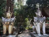วัดป่า ของดอยสุเทพ
