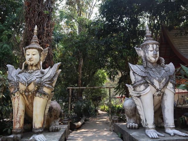 วัดป่า ของดอยสุเทพ