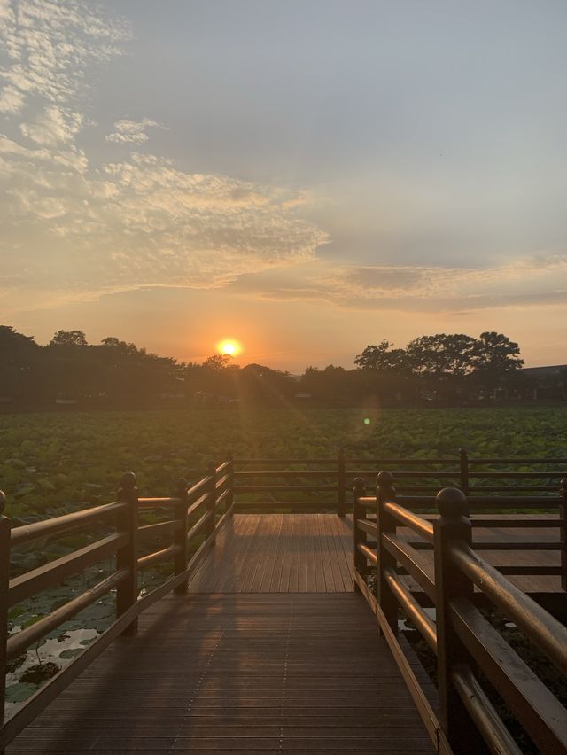 경남 진주 최고의 연못공원💚 강주연못 💚