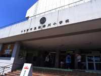 新潟市奴奈川小學 非常荒涼卻是祕密的私房秘境