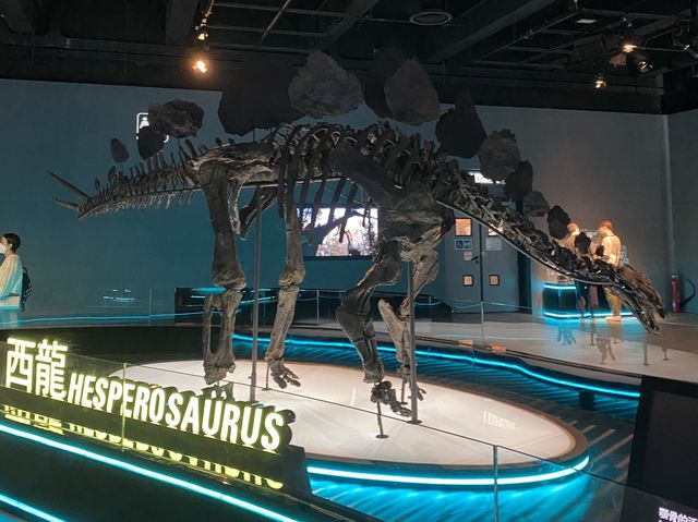🦕八大．尋龍記🦖