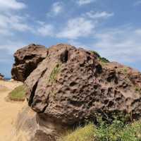 新北萬里區 ｜ 野柳地質公園