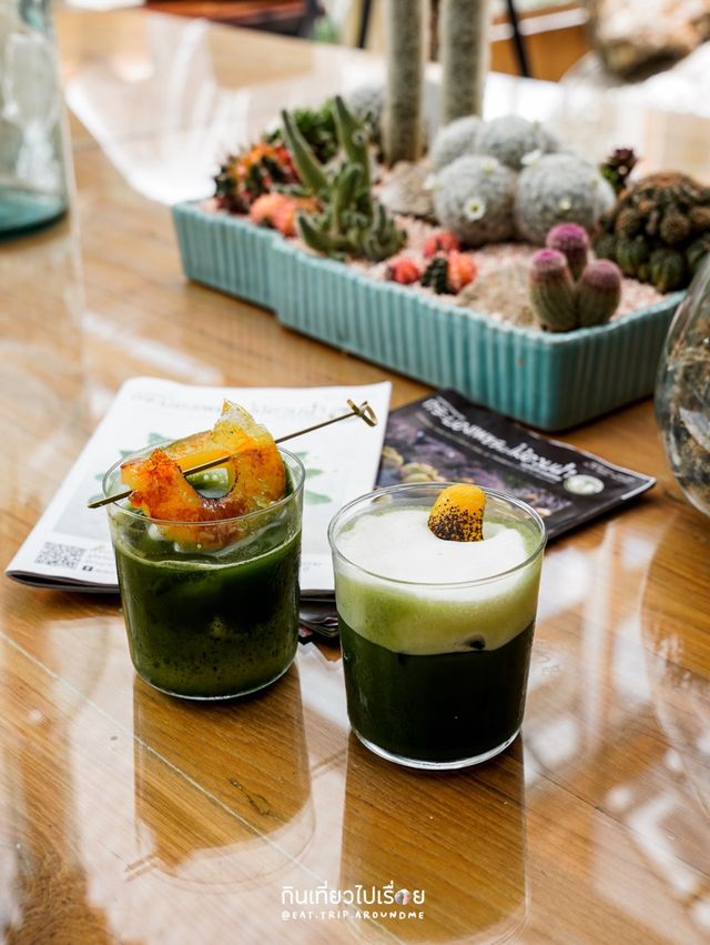🌵Botanist Activity Space & Cafe