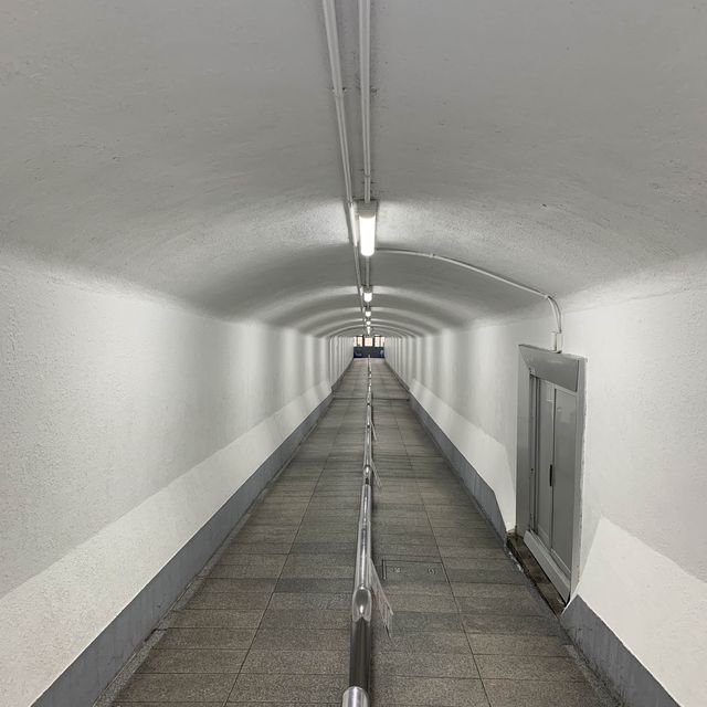 【日光】華厳の滝