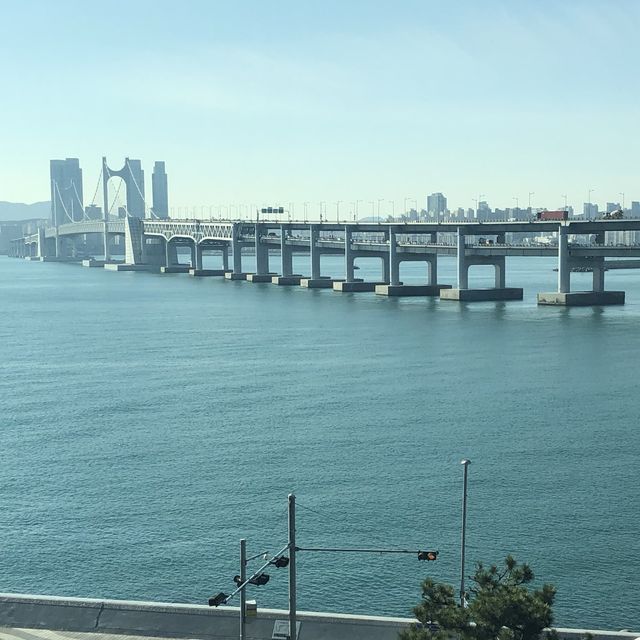 부산 호텔 수영장 TOP