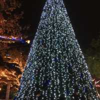 【天神中央公園】クリスマスイルミネーション