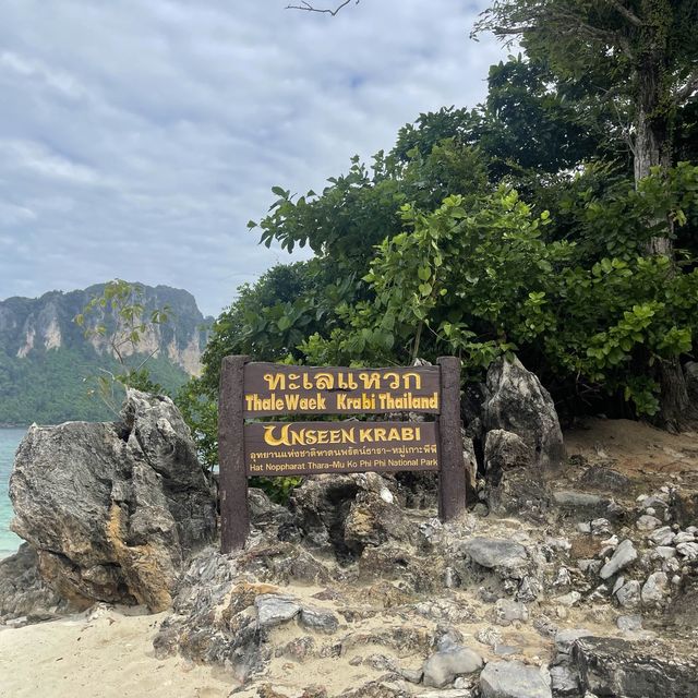 ทะเลแหวก