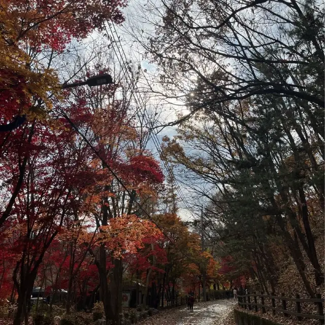 서울에서 숲의 기운을 받고 힐링하세요~!