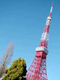 東京鐵塔下片片紅葉