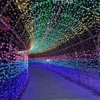 【千葉県】煌めく虹のトンネルを楽しむ！