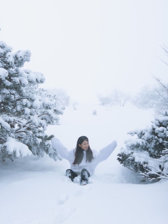 제주 눈 올때 갈만한 코스! 윗세오름 등반 ❄️