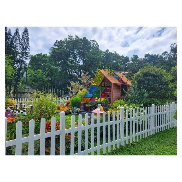 花之派對。寶康公園