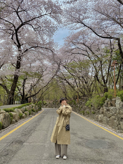 벚꽃구경하기 좋은 대학교: 경희대학교 서울캠퍼스 | 트립닷컴 서울 벚꽃구경하기 좋은 대학교: 경희대학교 서울캠퍼스 | 트립닷컴 서울