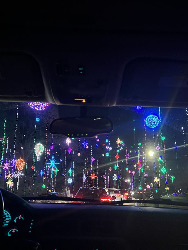 Driving thru Christmas lights - Jax