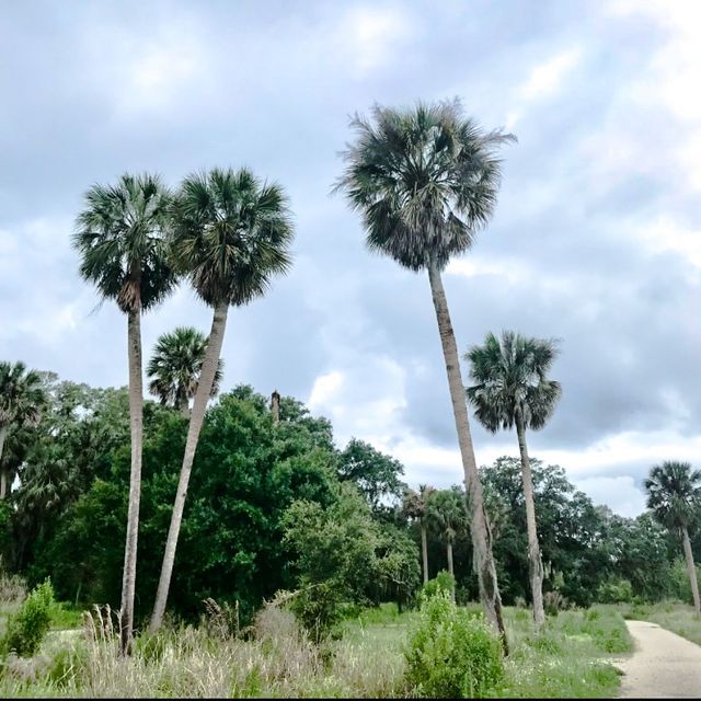  Central Florida’s Circle B Bar Reserve 