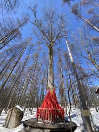 Not Your Typical Ancient Town in China!