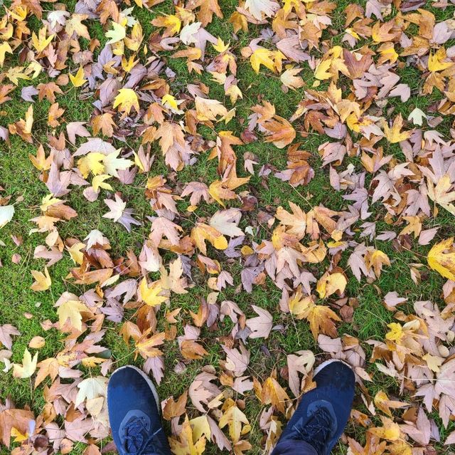 Fall Park