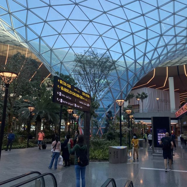 カタール航空🇶🇦 ドーハ空港