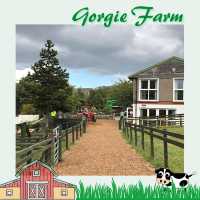 愛丁堡城市中的友好小農場Gorgie Farm