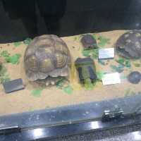 Amazing zooalogical museum 