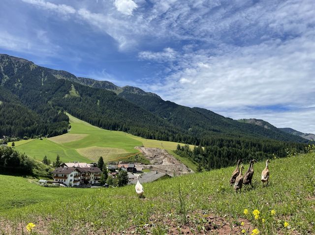 fantastic lakes & mountains in Austria 🇦🇹 