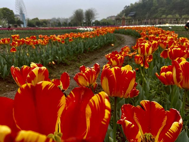 Mafan Agricultural Wonderland - Spring Time!