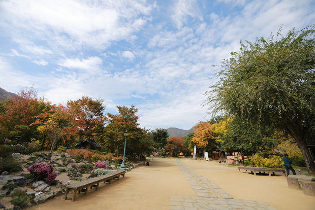 정선 아라리촌 풍경이 너무 예뻐