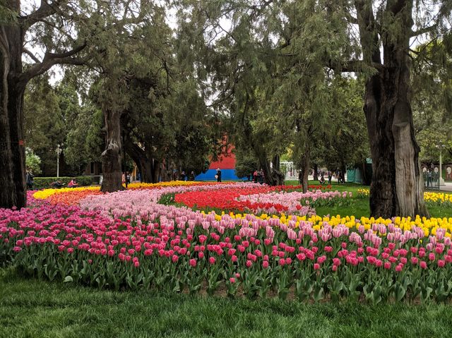 Jingshan Park in Bloom