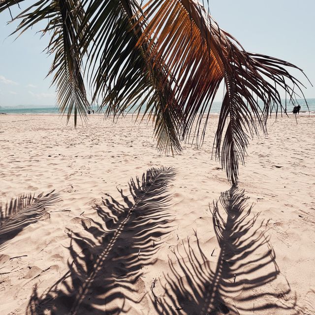 🏖Sanya: escape from crowded tourist places