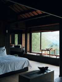 Songyang | A secluded homestay in the mountains among the sea of clouds, so therapeutic.