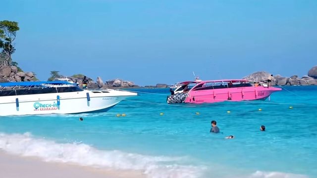 Thailand's coral garden, Koh Similan Island.