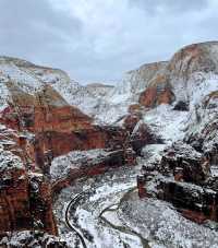 Go to Zion National Park for hiking and exploration.