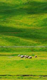 Plateau pastoral area