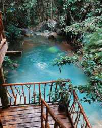 Philippines treehouse vacation, enjoy the beautiful scenery.