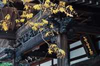 Just second to Sensoji Temple in age, yet it possesses a national treasure Buddha statue.