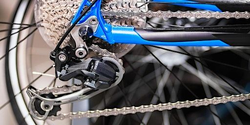 Get in the right gear | Lang Toun Cycles
