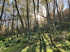 Woodland Theatre Workshop | Moss Wood