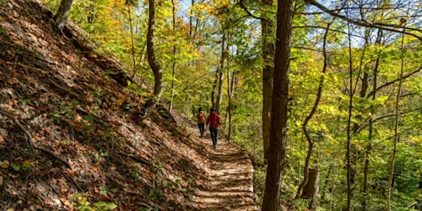 Nature Walk | Bruce Trail