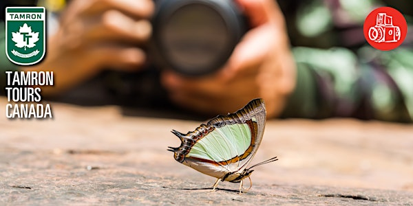 Macro Photography with Tamron Seminar | The Camera Store