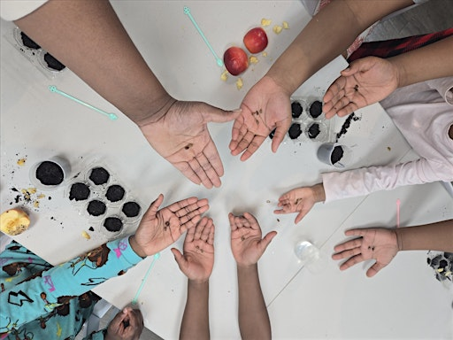 STEAM Summer Camp Week 7 | 3279 Memorial Dr
